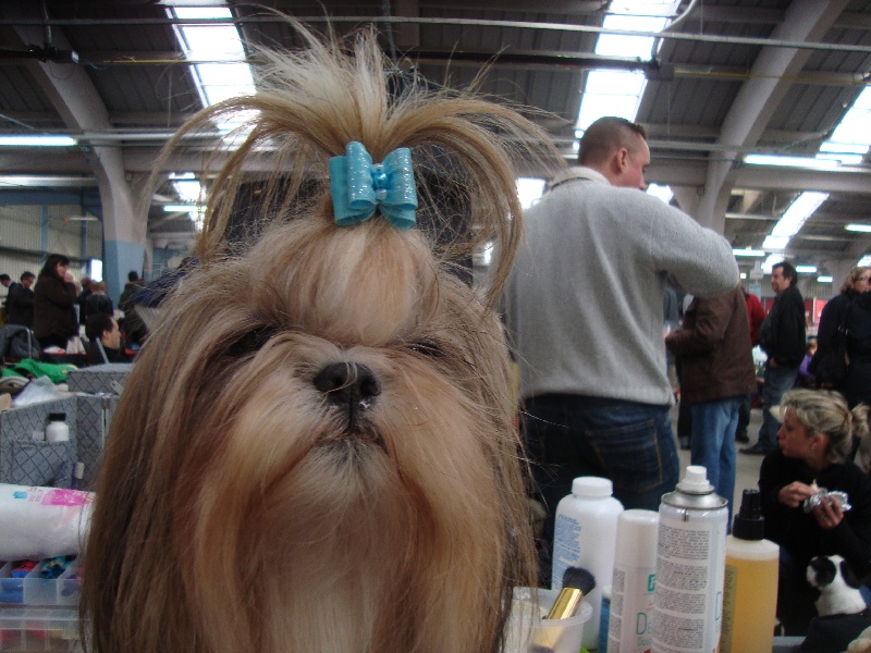 Victoria de Dewa Thang